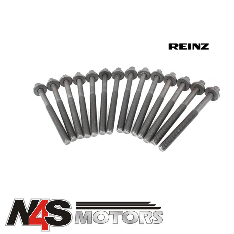 LR RANGE ROVER P38 2.5L BMW DIESEL HEX HEAD BOLT SET FROM REINZ. PART LDY000040G